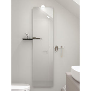 Dansani SOFT avlangt speil H160cm (helfigur)