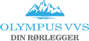 Olympus-Vvs logo