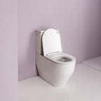 Laufen Pro 898966 Slim Toalettsete SC & QR